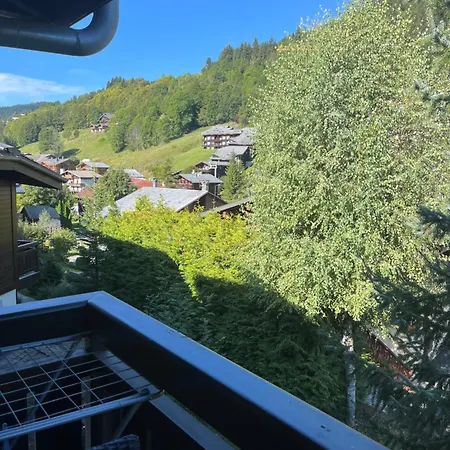 Apartment 2 Pieces Les Fermes Emiguy Les Gets